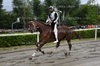 Immagine <b>REG_9242</b>